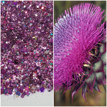 Load image into Gallery viewer, Thistle
